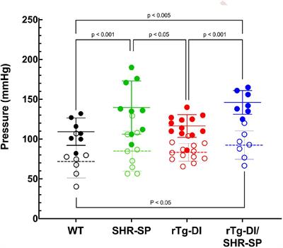 Impact of Non-pharmacological Chronic Hypertension on a Transgenic Rat Model of Cerebral Amyloid Angiopathy